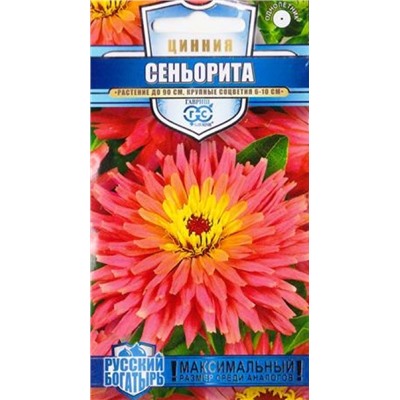 Цинния Сеньорита Русский богатырь (Код: 82733)
