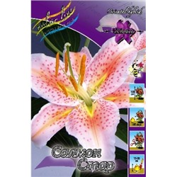 Лилии Салмон Стар 5шт (ИС) вост