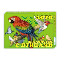 Лото детское "Знакомство с птицами" SH ge10518