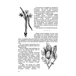 Четыре времени года. Книга для воспитателя детского сада. Бианки В.В., Веретенникова С.А., Клыков А.А. 1949