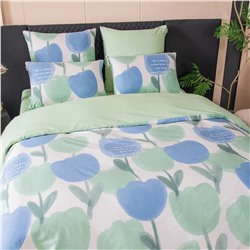 Комплект постельного белья Сатин 100% хлопок C613