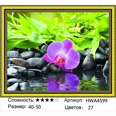 AM45 HWA4599, 40х50 см