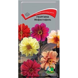 Цв.Георгина Мефистофель (Поиск) 0,2г