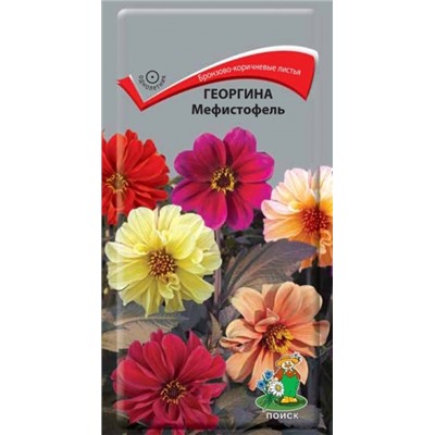 Цв.Георгина Мефистофель (Поиск) 0,2г