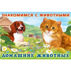 Кн. Знакомимся с животными.  Домашние животные 16 цветн.стр. 21,3*14,2см  27667