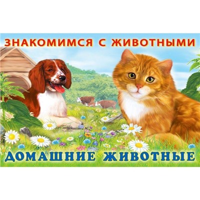 Кн. Знакомимся с животными.  Домашние животные 16 цветн.стр. 21,3*14,2см  27667