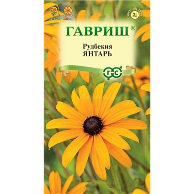 Рудбекия Янтарь Мн (Гавр)