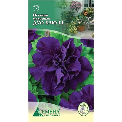 Петуния Дуо Блю F1 махровая, 10сем (цв.)