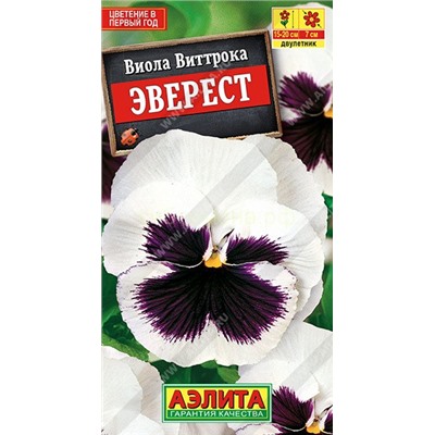 Виола Эверест (Аэлита)