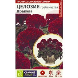 Цв.Целозия Дракула гребенчатая 3шт (Сем.Алтая)