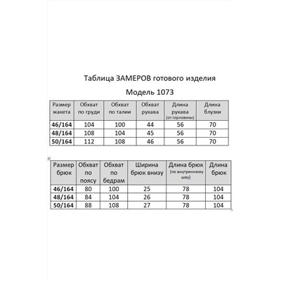 Мишель стиль 1073/1 фиалковый, Брюки,  Блуза