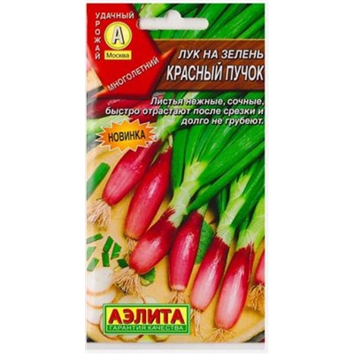 Лук на зелень Красный пучок (Код: 80180)