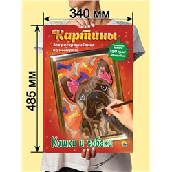 Раскраска по номерам Картины для раскрашивания  Кошки и собаки (макси) 10стр. 485*340мм ПП-00154348