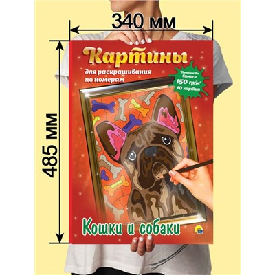 Раскраска по номерам Картины для раскрашивания  Кошки и собаки (макси) 10стр. 485*340мм ПП-00154348