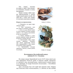 География. Учебник для 4 класса начальной школы. Виткович Н.Е. 1955