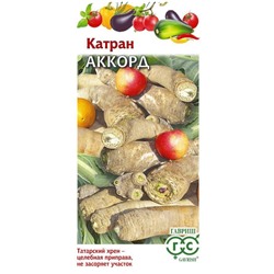 Катран Аккорд(хрен) Гавриш
