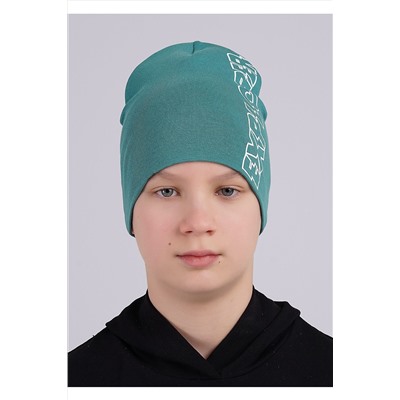 Шапка CLEVER #1042640