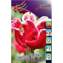 Тюльпан Элегант Краун 8шт (ИС)
