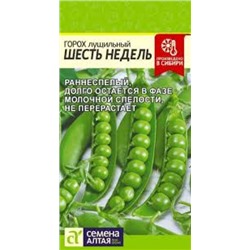 Горох Шесть недель (Сем.Алтая) 10г