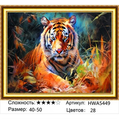 AM45 HWA5449, 40х50 см