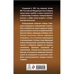Сталинский сокол. Комбриг