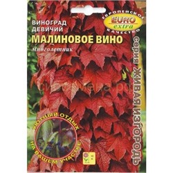 Виноград девичий Малиновое вино Мн (Аэлита)