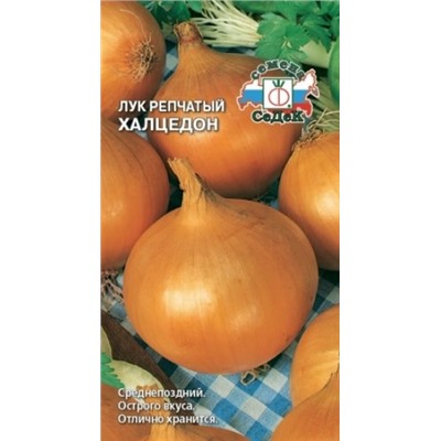 Лук Халцедон (Седек) 0,5г