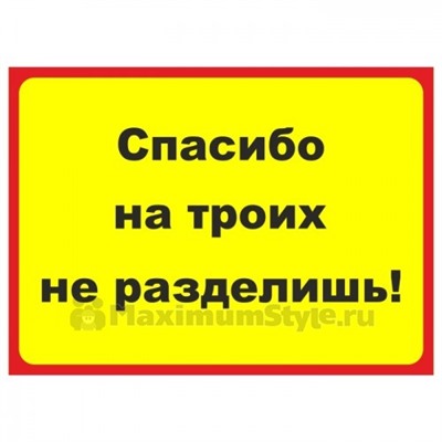 Табличка на стену "Спасибо на троих не разделишь!"