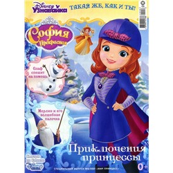 Уценка. БЕЗ ВЛОЖЕНИЙ. ж-л спец. Мир принцесс 06/21