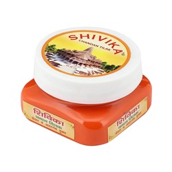 SHIVIKA Bhagwa Orange CHANDAN TILAK for Pooja and Hawan (ШИВИКА Жидкий ЧАНДАН ТИЛАК, цвет ОРАНЖЕВЫЙ, для Хавана и Пуджи), 70 г.