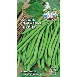 Фасоль Нерина спарж. (СеДеК) куст. 5г
