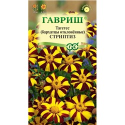 Бархатцы Стриптиз отклон. (Гавр)