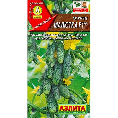 Огурец Малютка F1 (Аэлита)