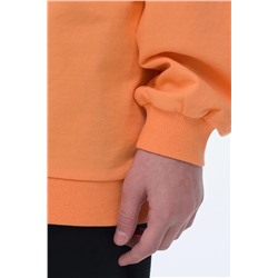 Свитшот PELICAN #835848