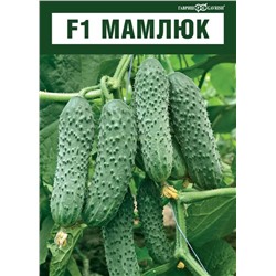 Огурец Мамлюк F1 (Гавр)