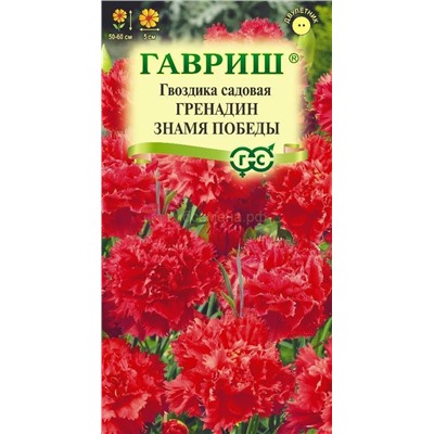 Гвоздика Гренадин Знамя Победы (Гавр)