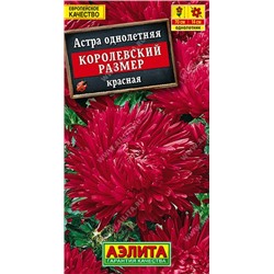Астра Королевский размер Красная (Код: 14700)