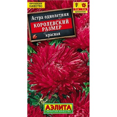 Астра Королевский размер Красная (Код: 14700)