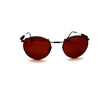 Поляризационные солнце  2023 - Polarized 166 коричневый
