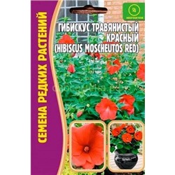 Гибискус Травянистый(болотный) Красный (Редкие)