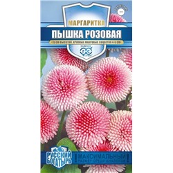 Маргаритка Пышка розовая (Гавр)