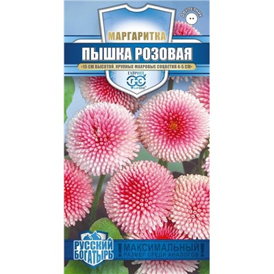 Маргаритка Пышка розовая (Гавр)