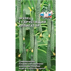 Огурец Хрустящий Аллигатор F1 (Седек)
