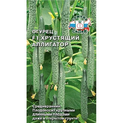 Огурец Хрустящий Аллигатор F1 (Седек)