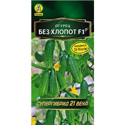 Огурец Без хлопот F1 (Аэлита)