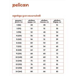 BFJS3335/1 (Джемпер для мальчика, Pelican Outlet )