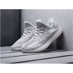 Adidas Yeezy 350 V2
