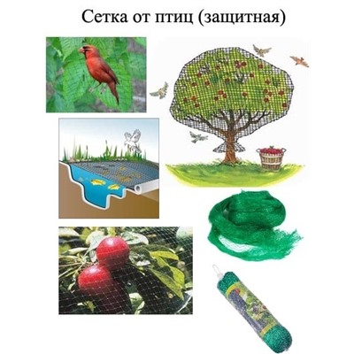 Сетка от птиц 5х5м INBLOOM