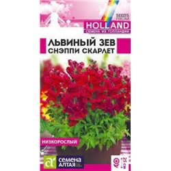 Цв.Львиный зев Снэппи Скарлет (Сем.Алтая) 10шт