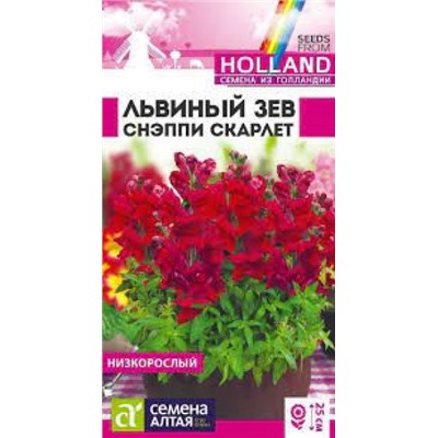 Цв.Львиный зев Снэппи Скарлет (Сем.Алтая) 10шт